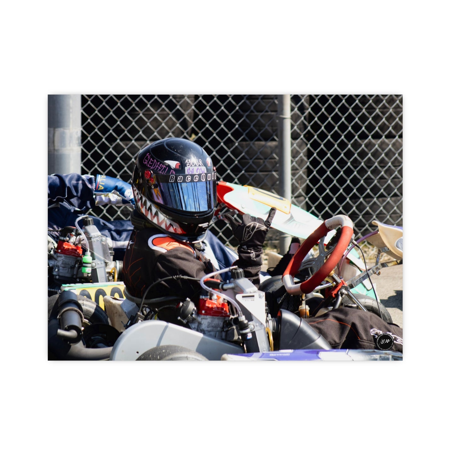 Sharkbite Speedster – Matte Finish Poster