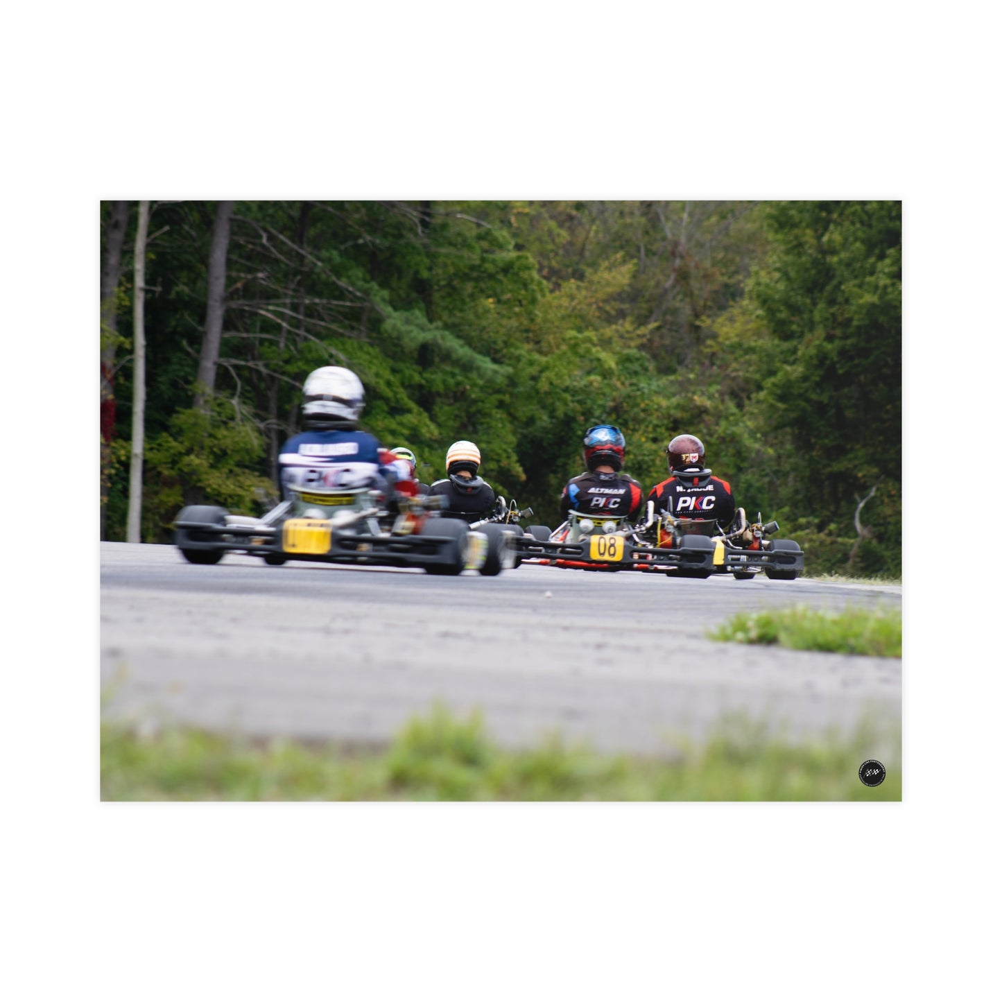 Forest Circuit Rush – Matte Finish Poster