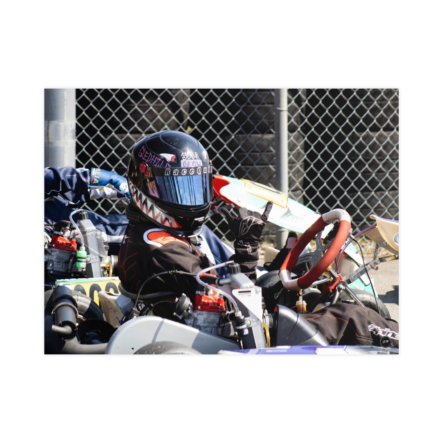 Sharkbite Speedster – Matte Finish Poster