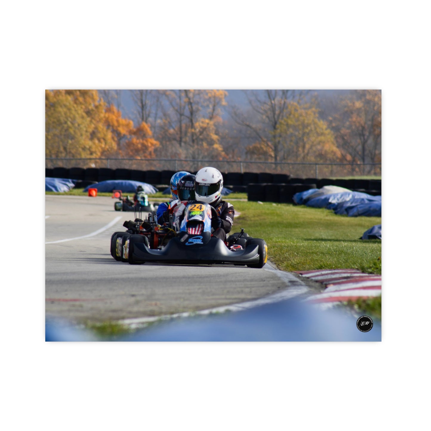 Red, White & Roar – Matte Finish Poster