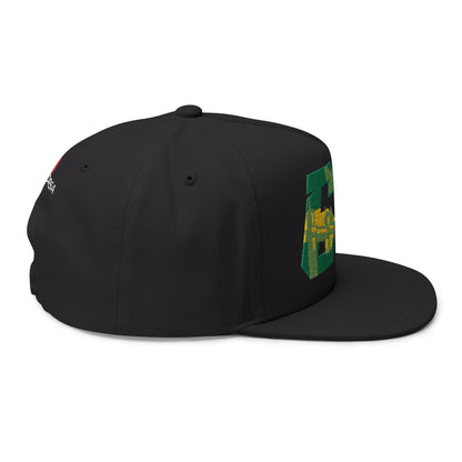 Thomas #66 "Bahia Heritage" Snapback Cap