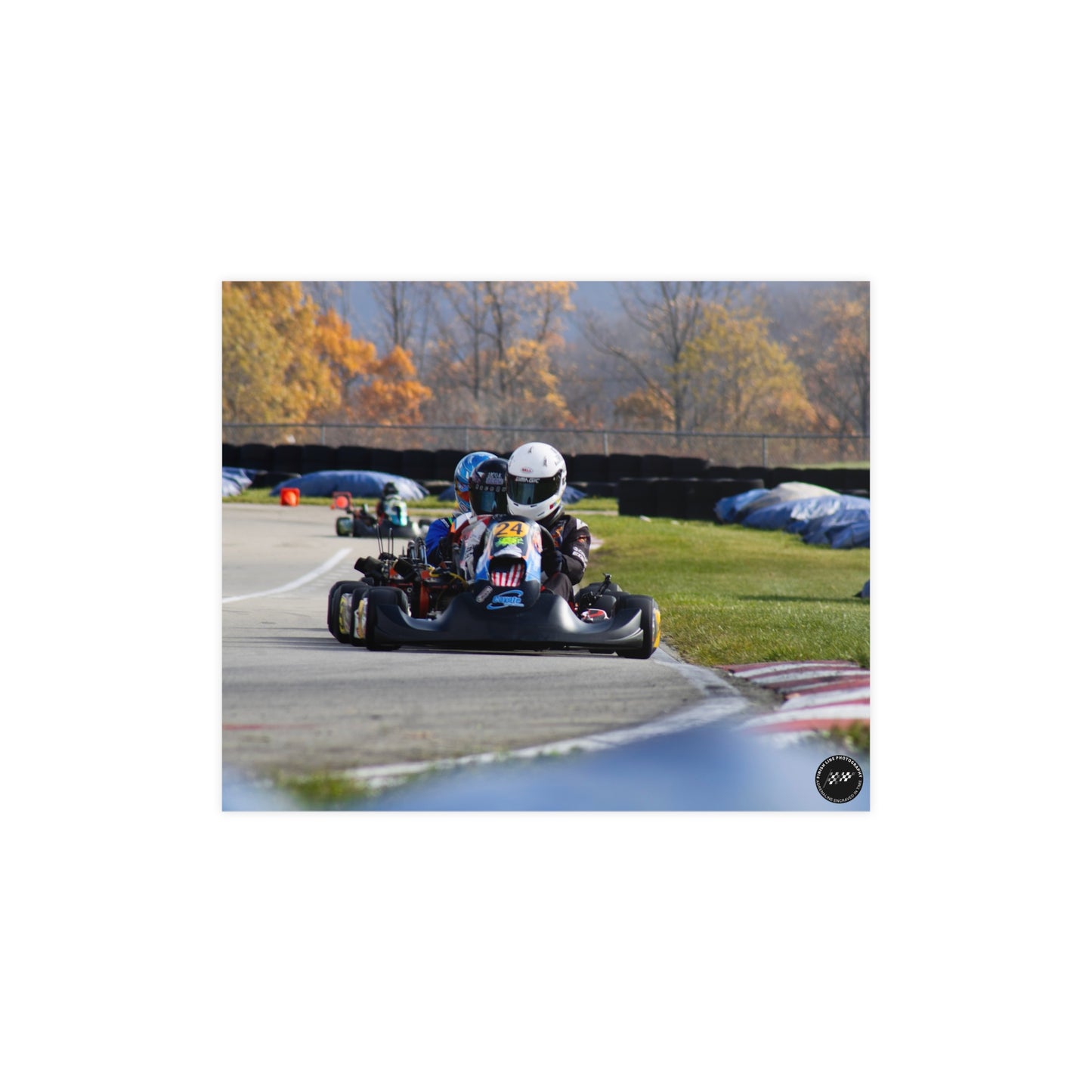 Red, White & Roar – Matte Finish Poster