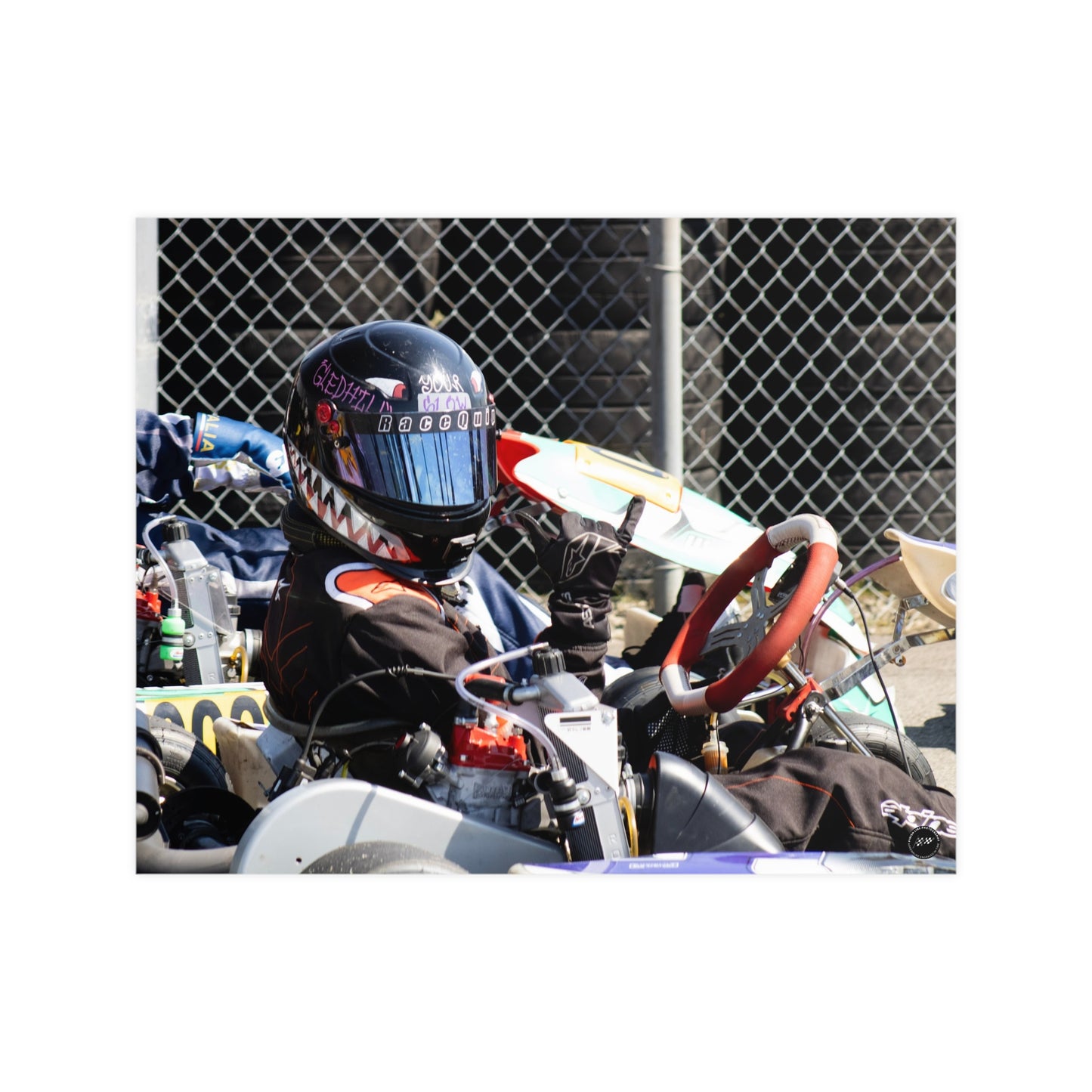 Sharkbite Speedster – Matte Finish Poster